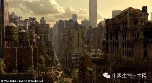 2046年澳门，时光印记的视觉盛宴2024年澳门图片资料三的开奖结果走势图