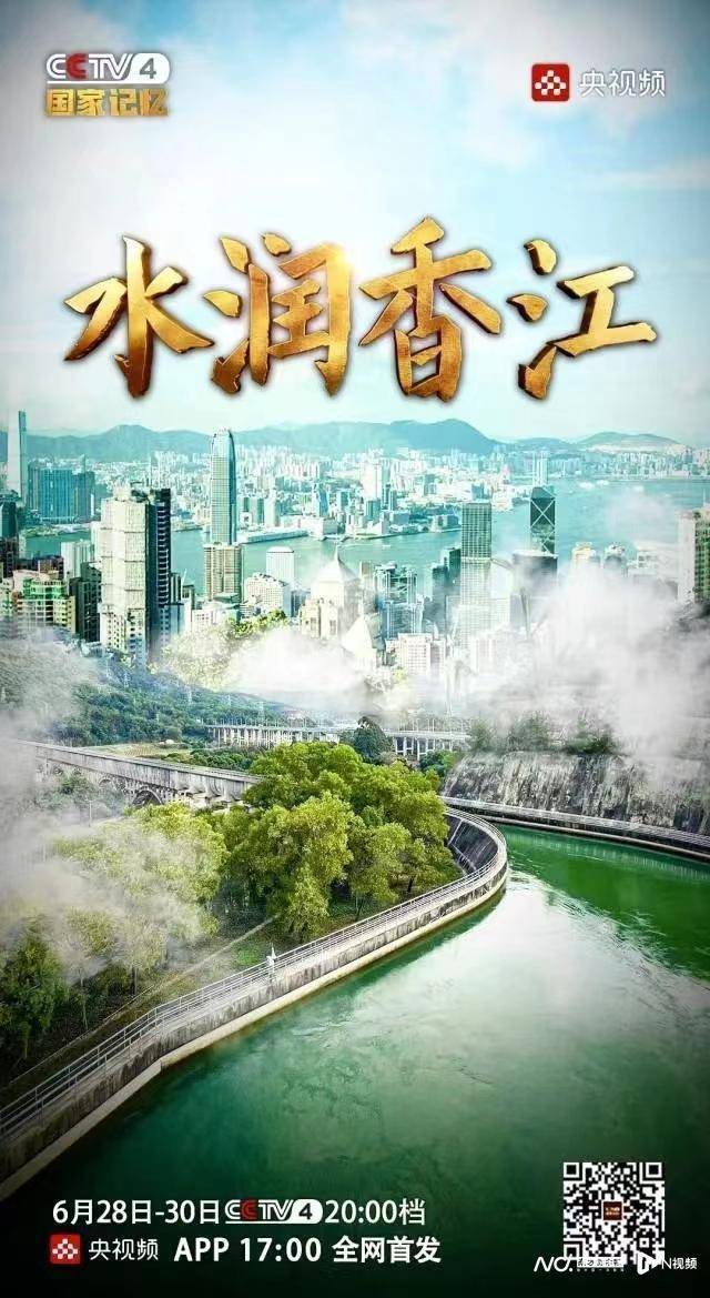 探索香港今期开奖结果资料，揭秘背后的故事与影响香港今期开奖结果资料图片香港迷雨马报