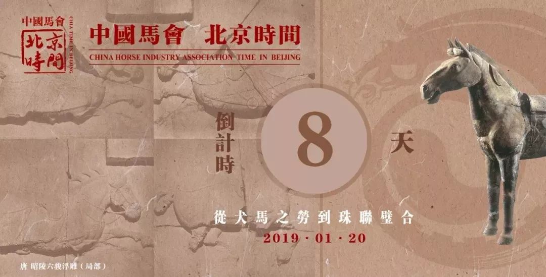 探秘香港本港台开马结果，一场文化与幸运的交织本港台开马查询
