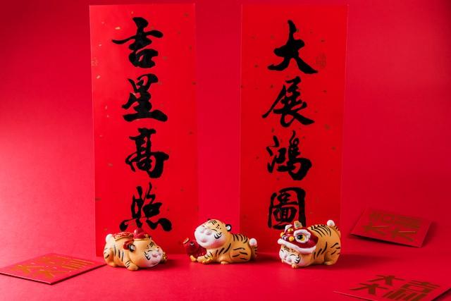 澳门今晚生肖预测，理性看待与娱乐心态2024澳门今天晚上开什么生肖啊鼠害怕是什么