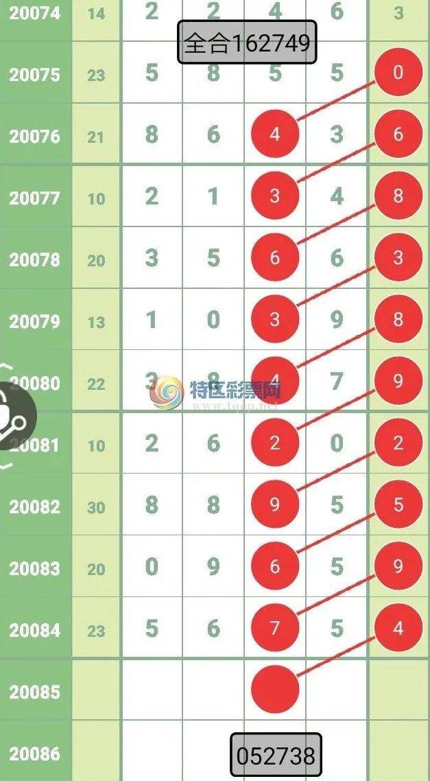 揭秘新澳六开彩，从号码记录到中奖奥秘新澳六开彩开奖号码记录一