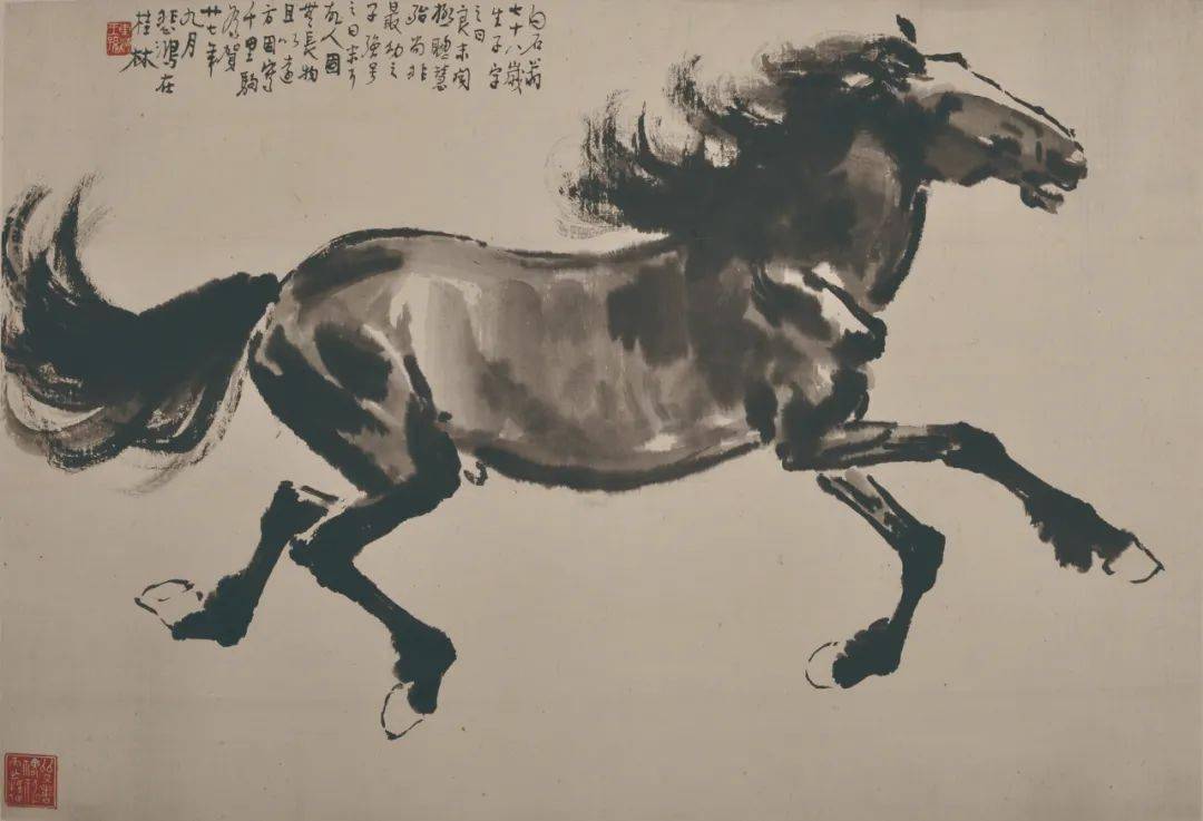 今日必中，揭秘四不像图的神秘面纱今天必中四不像图2019年46期