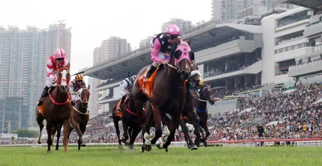 探秘香港马会资料大全2019，传承与创新并蓄的赛事盛宴