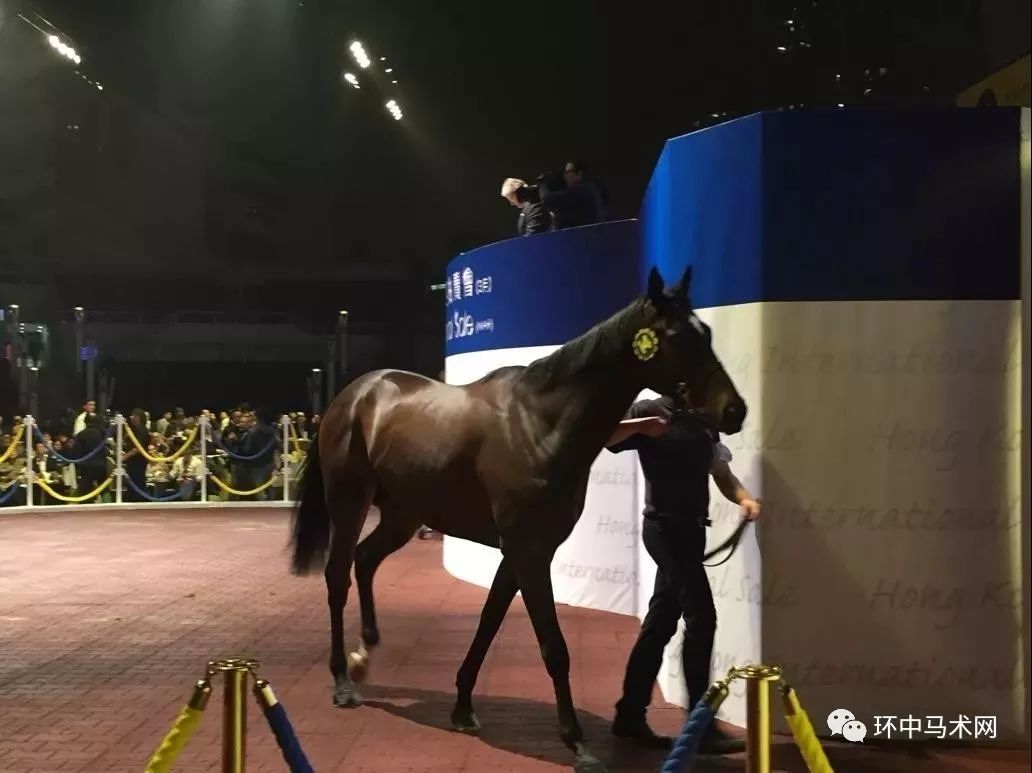 探秘香港本港台开马结果，一场文化与娱乐的盛宴本港台开马查询