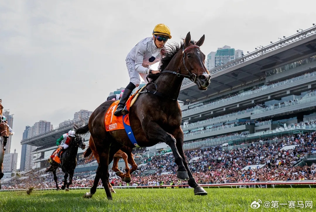 2019马会正版资料，重塑赛场公平与透明的新篇章2019年马会正版幽默