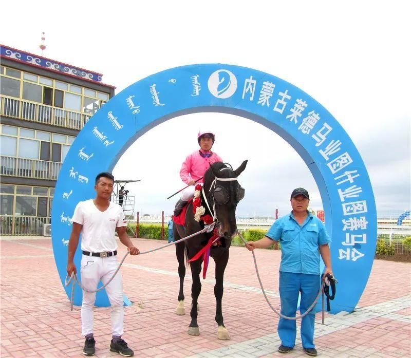 探索香港马会201年开奖日期，历史、影响与未来展望