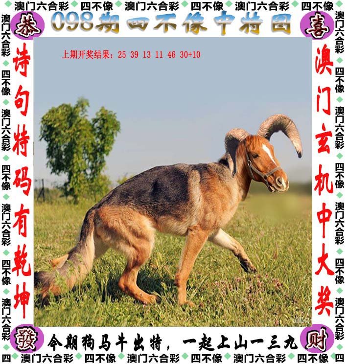 本港台开奖现场直播—见证幸运时刻的独特视角本港台开奖现场直播+开奖结果台L