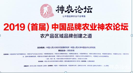 蓝姐三中三大数据论坛，揭秘彩票背后的智慧与策略蓝姐三中三高手论坛正网
