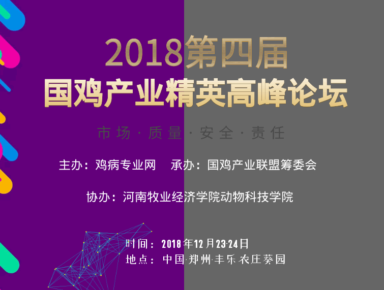2031年，免费资料大全下载的年度回顾与展望2022全年资料免费大全下载1877