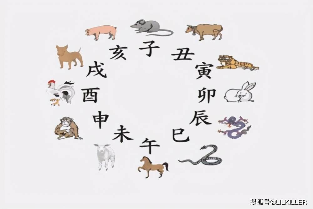 今晚必二肖，揭秘生肖运势的神秘面纱今晚必二肖四不像我就要一肖