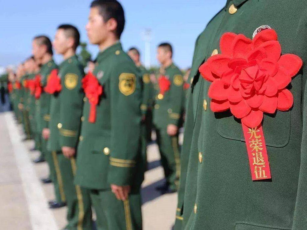 澳门2035最准免费资料大全，揭秘未来趋势与策略指南澳门2023最准免费资料大全葡京一技枝花