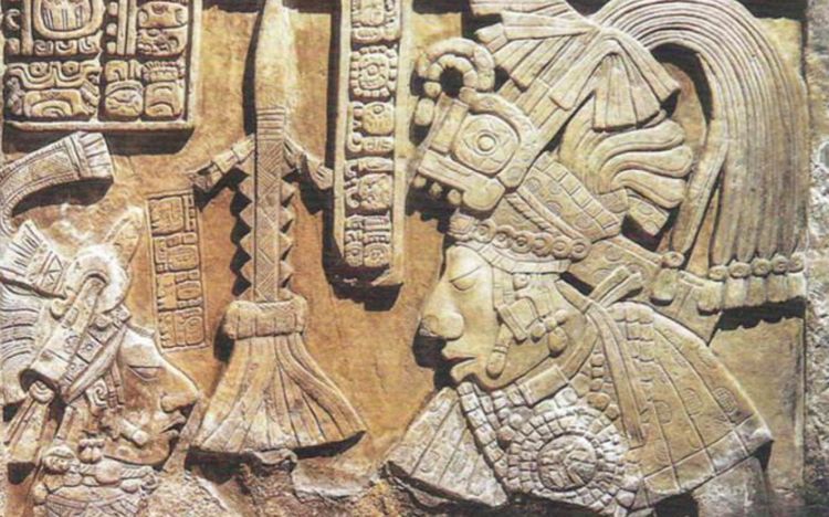 玛雅论坛最新动态，探索古代文明智慧的现代回响玛雅论坛最新登录方法是什么