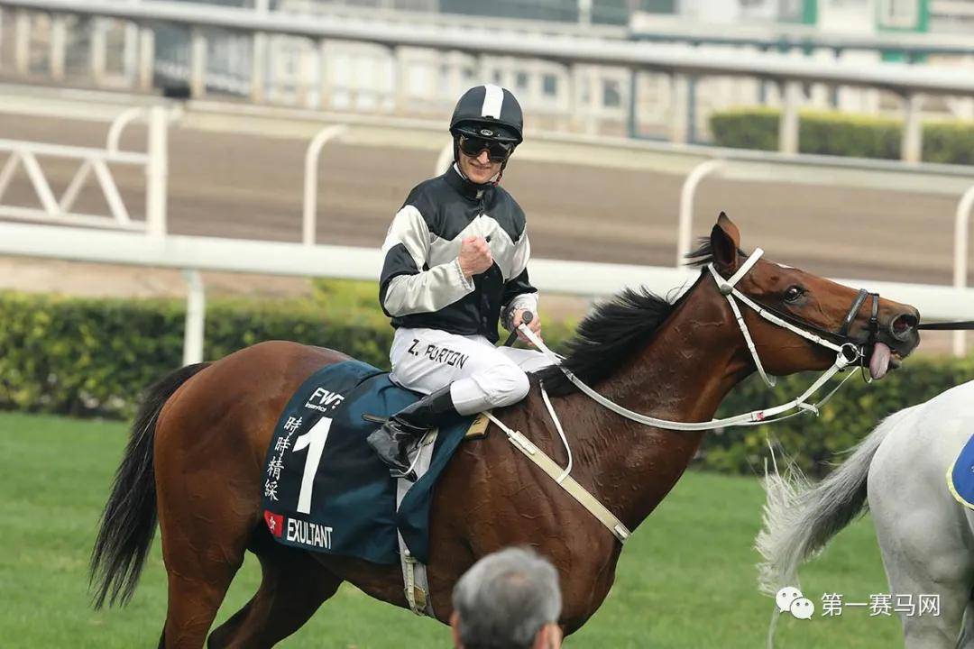 2019香港马会全年资料大全，精彩赛事与辉煌成就回顾香港2021年马会资料