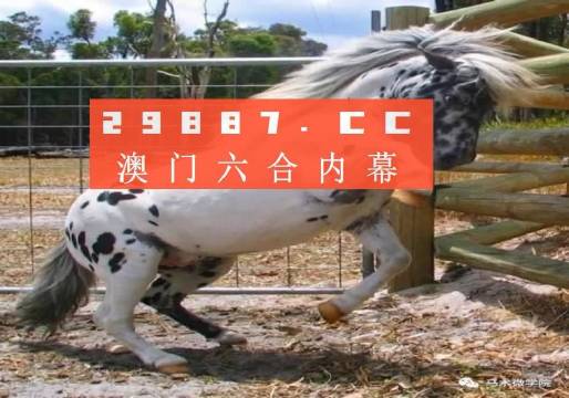 澳门彩资料查询，全面解析与实用指南澳门彩资料查询2023年