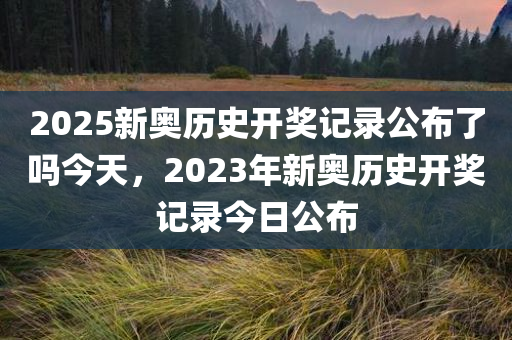 2046年新奥历史开奖记录，回顾与展望2024新奥历史开奖记录28期3D
