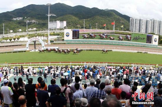 探索香港马会网站，一站式赛马的精彩与乐趣香港免费公开资料大全