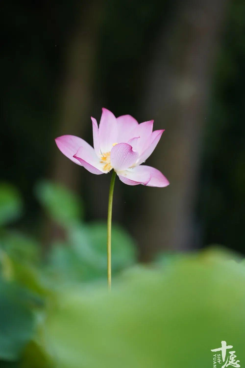 教师风采 第38页