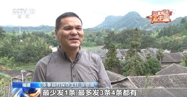 澳门码今期开奖结果，揭秘背后的数字游戏与文化意义新澳门今晚开奖结果 开奖