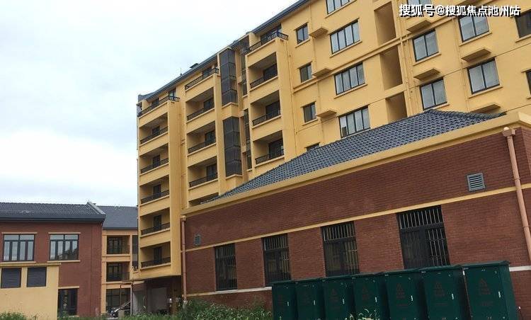 澳门49图库精准大全，凤凰网独家揭秘与解析4949澳门开奖现场开奖直播