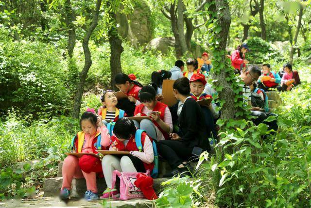 探索澳门，免费资料大全的奇妙之旅打开澳门免费资料大全最新版本