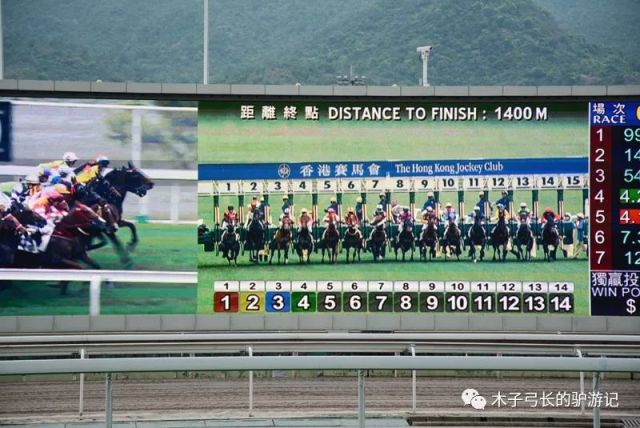 2019香港马会全年资料大全，精彩赛事与辉煌成就回顾香港2021年马会资料大全