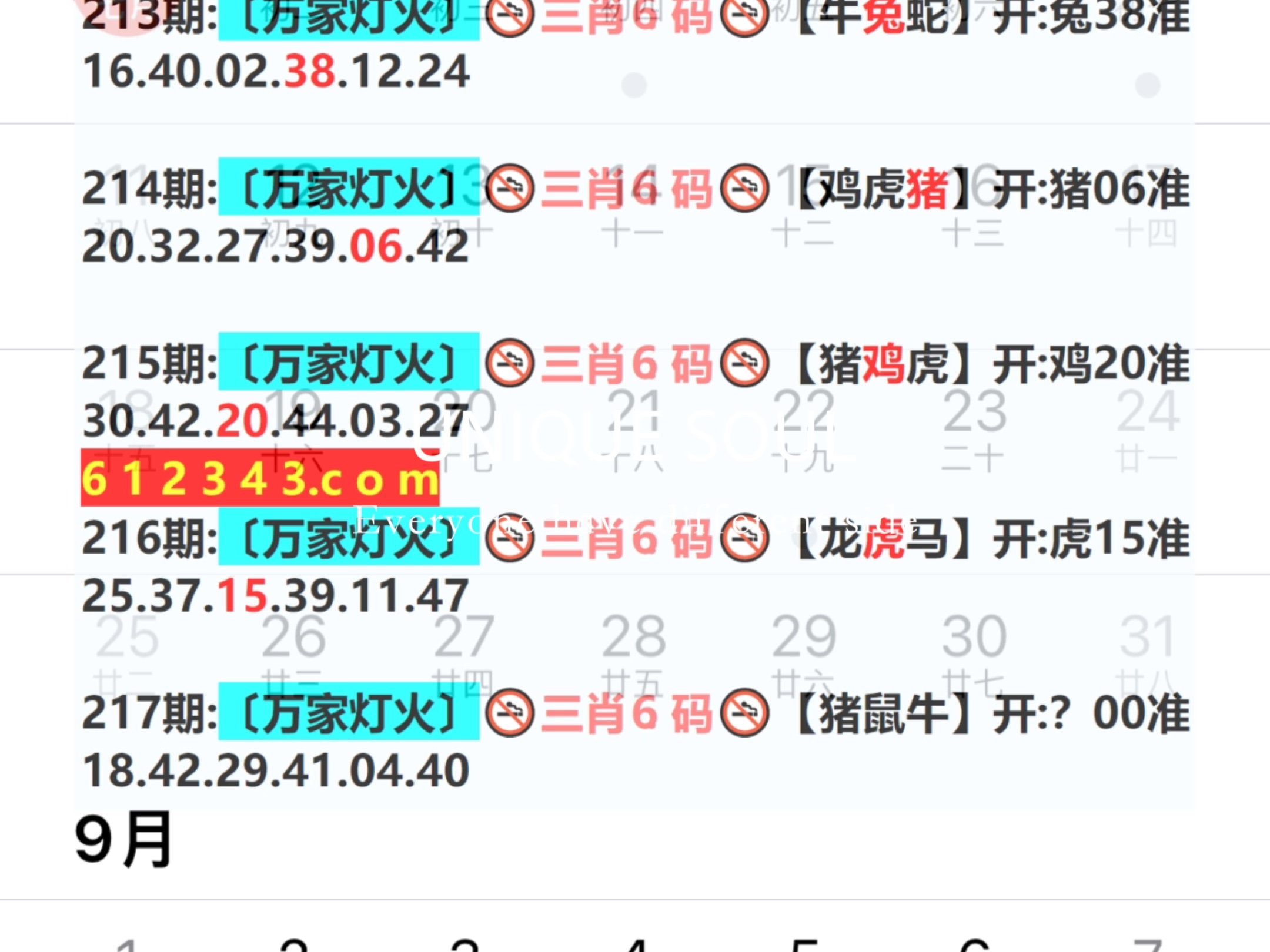 探寻新奥历史的辉煌与未来—最新开奖结果揭秘新奥历史开奖最新结果查询今天