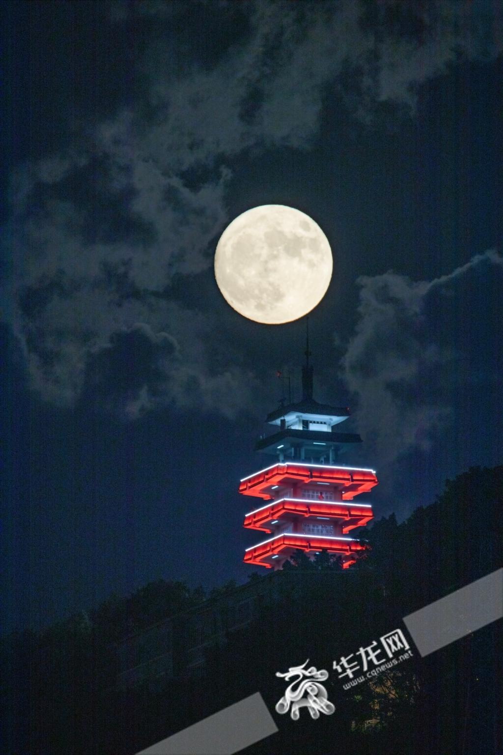 蓝月亮料全年资料大全，解锁家居清洁新境界蓝月亮料免费资料大全