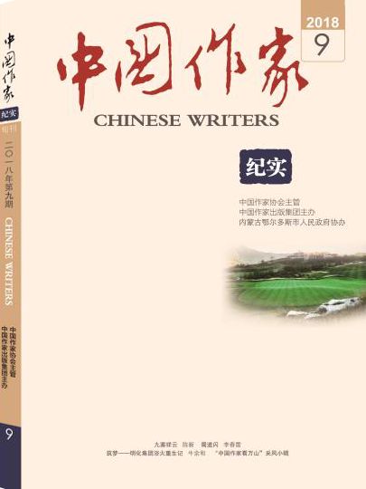 澳大小说网，文学的海洋，创意的无垠之地澳大小说网龟甲小说