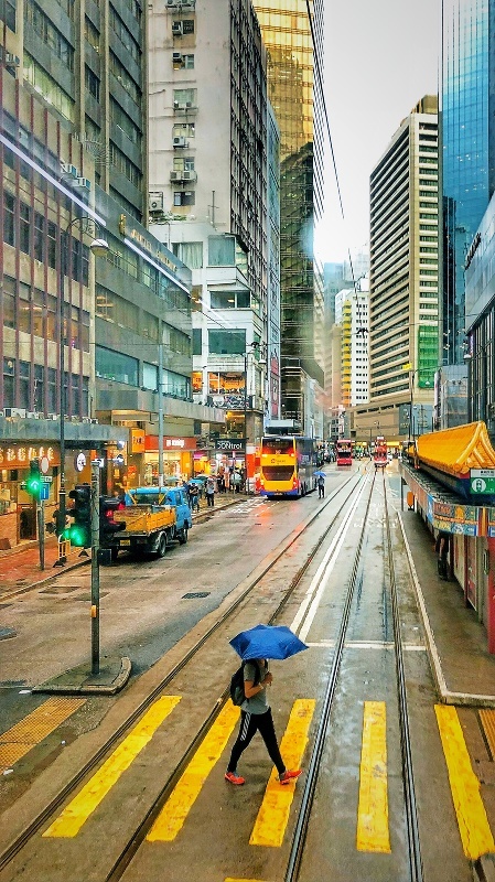 探索香港图库，免费资料大全与看图的乐趣香港图库2021