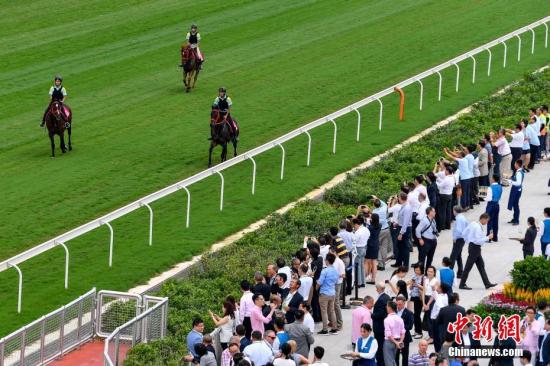 2019马会正版资料，揭秘香港赛马的精彩与魅力2019年马会正版幽默