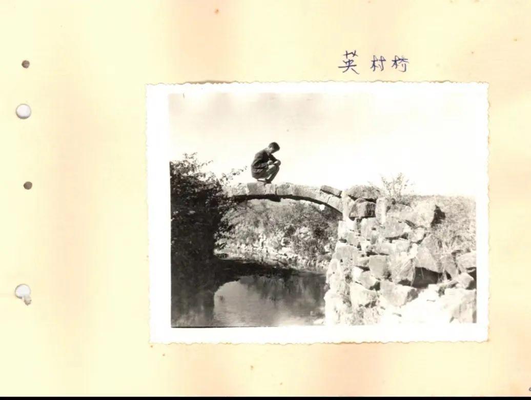 蓝月亮心水论坛，网络社区的温暖港湾蓝月亮心水主论坛澳门