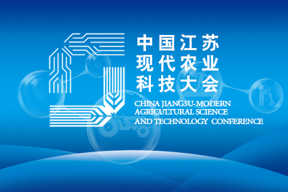 现场直播开奖结果，透明公正的现代娱乐新风尚429999现场直播开奖结果
