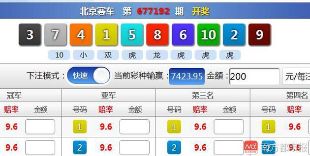 蓝姐平码论坛，揭秘网络彩票的真相与风险蓝姐平特有奖论坛