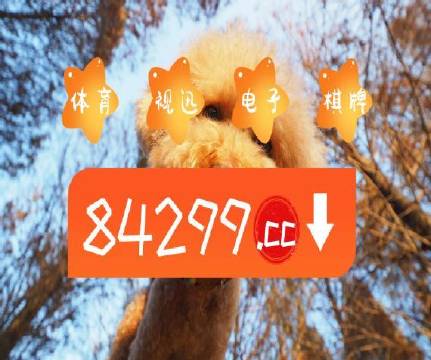 澳门天天彩开奖结果查询方法全解析澳门天天彩开奖结果查询方法最新