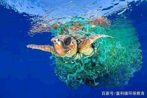 探寻网络上的精神家园—好日子的艺术 在浩瀚的网络海洋中，strong>好好生活，天天向上’的好手们聚集地 好日子高手论坛开奖历史记录