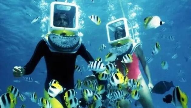 探索数字世界的奇妙之旅，揭秘www.493333.com