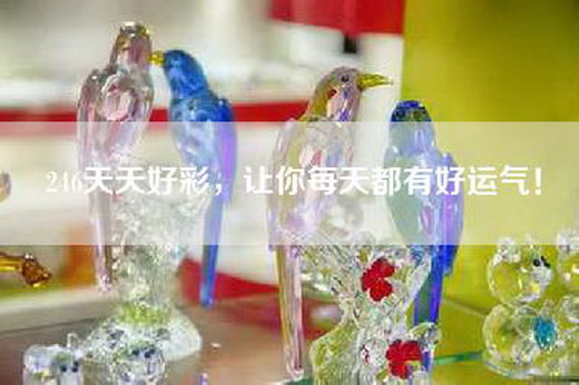 246天 天 好