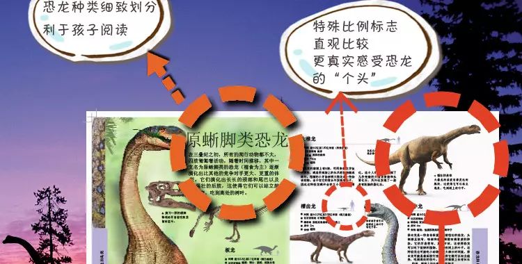 探索香港特马，揭秘资料大全的奥秘香港特马资料大全2020年