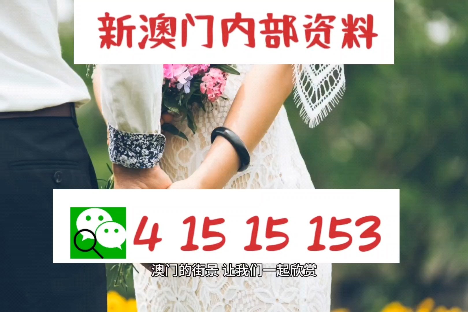 2046年新澳门精准资料，免费共享与理性投注的未来展望澳门新彩