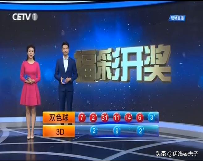 揭秘本期香港码开奖结果，数字背后的奥秘与期待本期香港码开奖结果2024