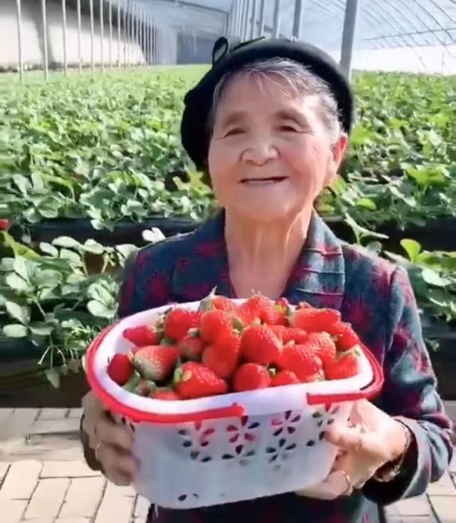 水果奶奶论坛，连接健康与快乐的绿色桥梁水果奶奶水果奶奶论坛