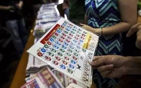 探访香港，今日开放之城的魅力与活力香港最快今期开奖号码