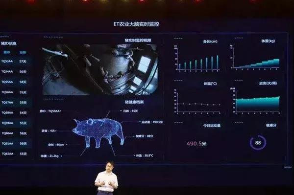 629573，老玩家眼中的澳彩资料大全与未来展望626969cc澳彩资料大全2020期626969