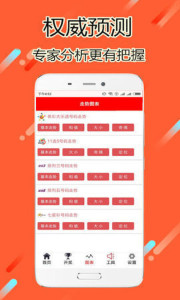 揭秘王中493与特肖的神秘面纱，理性看待彩票中的数字游戏王中王493333中特一网.说