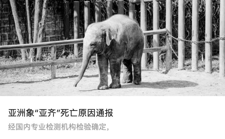 2036年新澳门摇号记录最新结果公布，揭秘幸运之光的闪耀时刻2023年新澳门摇号记录最新结果公布了吗