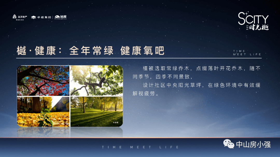 新澳门开奖现场直播，最新中彩消息汇总与深度解析新澳门开奖记录